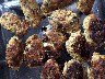 fritters_0739